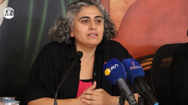 Turkey must act to move peace process forward, says Kurdish activist Tuncel