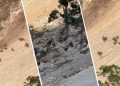 Ecocide in Cudi and Gabar: Habitats of gazelles and wild goats deliberately destroyed